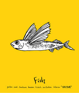 海食食品菜单插图/手绘食品成分-