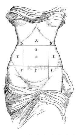 腹部和其分支机构、 复古雕刻.