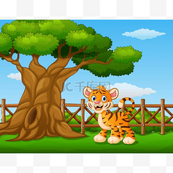 翻越围墙图片_动物老虎站在围墙里面的一棵树旁