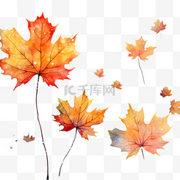 枫叶图案图片_枫叶简单绘画秋天季节AI元素立体