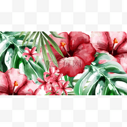 热带花卉背景图片_热带花卉背景向量水彩。精致的夏