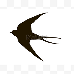 燕子飞的绘图剪影