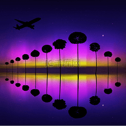  景观与树木和飞行飞机在夜间