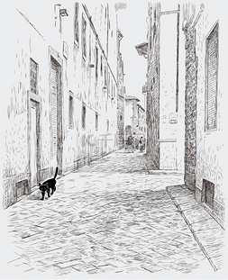黑猫走在古老的小镇