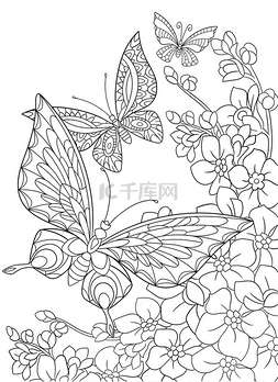 书上的图片_Zentangle 程式化蝴蝶和樱花花.