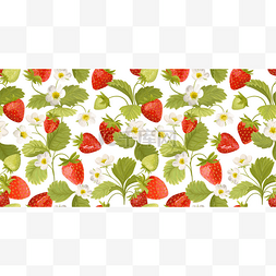 水彩缤纷的无缝制草莓花纹,野果,