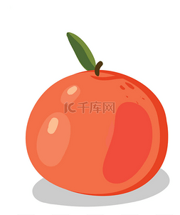 柚子橙，图例，白色背景上的向量