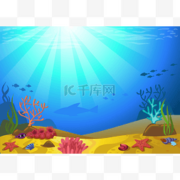 珊瑚插图图片_海底的珊瑚