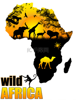 野生非洲海报