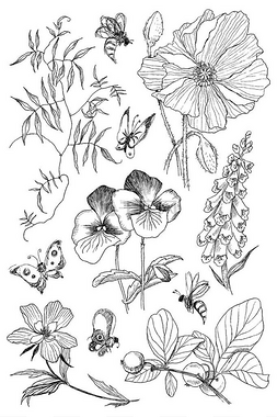 蜜蜂和花朵图片_复古植物插画开花的花朵设置。花