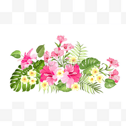热带花卉花环为您的卡设计。标签