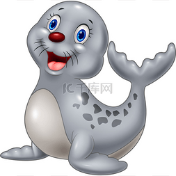 动物海豹图片_可爱的婴儿印章卡通白色背景