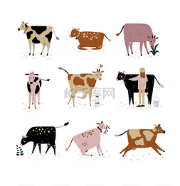 养牛、奶牛、不同品种的奶牛集载