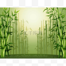绿背景图图片_森林里的绿竹树背景