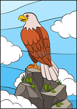 野生鸟类图片_为孩子卡通野生鸟类 ︰ 鹰。可爱