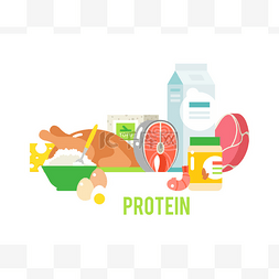 平衡和图片_蛋白质食物载体插图.