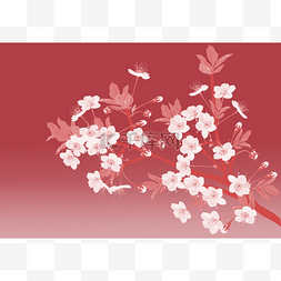 樱花鲜花的粉红色图