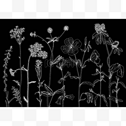 中复古背景图片_用绘图的香草和花朵背景