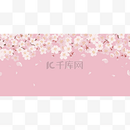 粉红的空间图片_无缝隙的植物背景，樱花盛开，粉