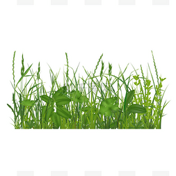 绿草矢量图片_现实的详细3D绿草组成。B.病媒