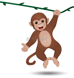 树枝上猴子图片_挂在树枝上的猴子
