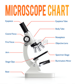 功能海报图片_逼真的显微镜零件信息图演示图