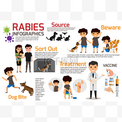 描述图表图片_狂犬病图表。描述症状和药物或疫