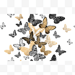 金色和黑色蝴蝶在白色背景无缝的