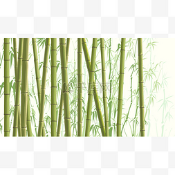 与很多竹子的水平图.