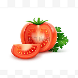 矢量大成熟红色新鲜切整个西红柿