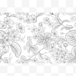 黑白纸张图案图片_开花的树枝开满鲜花和树叶用于设