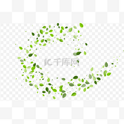 border图片_Mint Foliage Vector Concept. Green Leaf Flyin