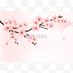 人鱼朵朵图片_自然背景与朵朵樱花分支。矢量ill