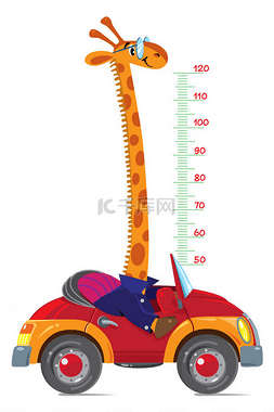 儿童高度图片_在车上的长颈鹿。米墙或高度图