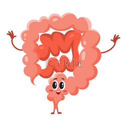 人体肠道卡通图片_可爱和有趣，微笑着健康的肠道，