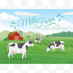 农场景观图片_牛奶农场。奶牛场景观, 牛牧场田