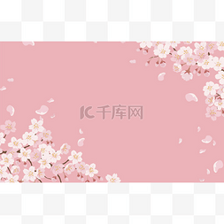 粉红的空间图片_樱花盛开的花朵背景，粉红背景。