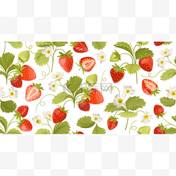 夏季派对背景图片_草莓背景与花，野生浆果，叶子。