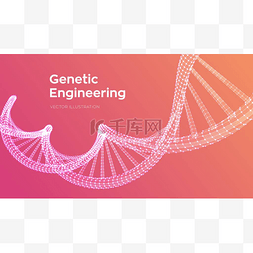 dna代码图片_Dna 序列。线框 Dna 分子结构网格。