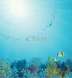 大海素材背景图图片_与珊瑚礁水下海景.