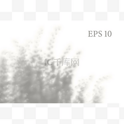 光效图片_透明的自然植物阴影。光效叠加。