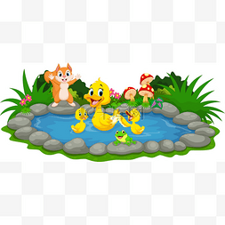 鸭妈妈和小鸭子在池塘里游泳 