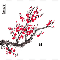 东方樱花樱花树 