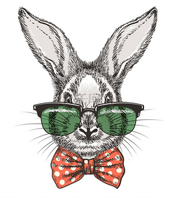 兔子在眼镜素描肖像