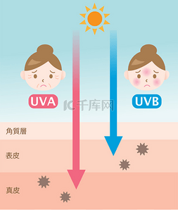 信息图皮肤插图。乌瓦射线和Uvb射