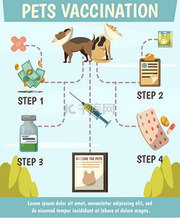 海报保护动物图片_宠物强制性接种疫苗正交流程图