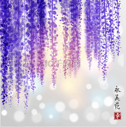 传统的东方紫藤手绘与墨水 