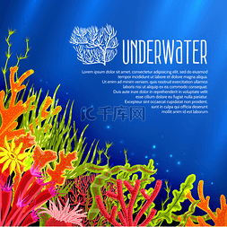 海藻海报图片_水下的珊瑚海报