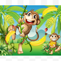 两只猴子图片_两个猴子香蕉厂附近