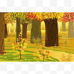 梦想秋天的森林